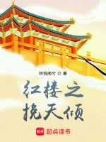 《红楼之挽天倾》（校对版全本）作者：林悦南兮