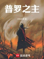 《普罗之主》（校对版全本）作者：沙拉古斯