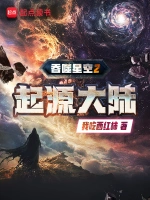 《吞噬星空2起源大陆》（校对版全本）作者：我吃西红柿
