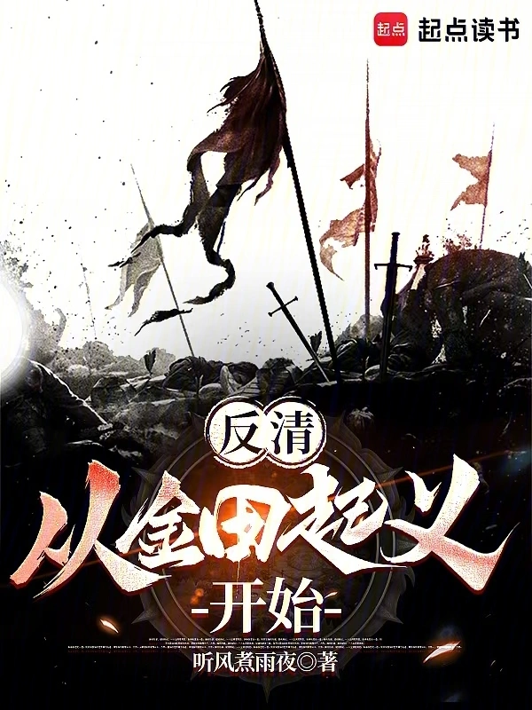 《反清：从金田起义开始》（校对版全本）作者：听风煮雨夜